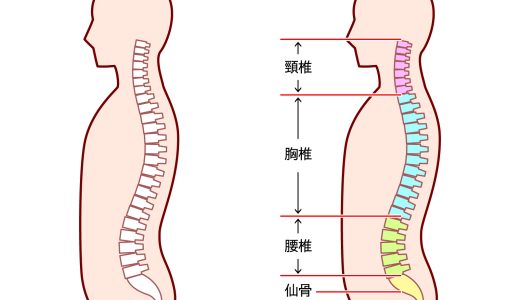 背骨が痛いと感じたら何科を受診すべき？原因と対処法を徹底解説