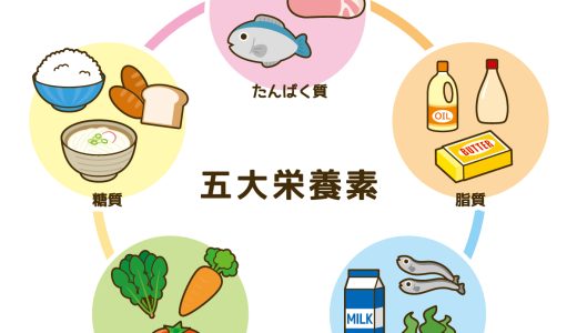 栄養価の高い食べ物ランキングで健康をサポート！毎日の食事に取り入れたいトップ10食材