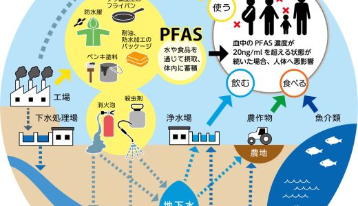 ミネラルウォーターのPFAS検査を徹底解説！PFASが人に与える５つの健康リスクとは