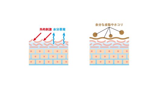 皮膚の免疫力を高める栄養素を徹底解説！レシピから生活習慣まで