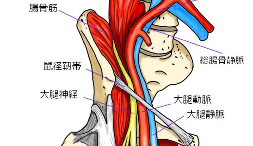 鼠径部の痛み、しこりに困ったら何科に行く？原因別の診療科と治療方法のポイントを詳しく解説